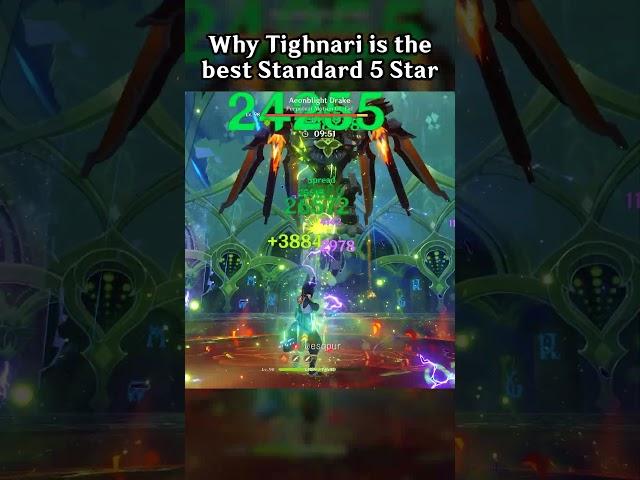 WHY TIGHNARI IS THE BEST STANDARD 5 STAR