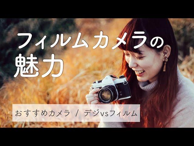 【おすすめカメラ5選】私がフィルムを選ぶ理由【一眼レフカメラ / コンパクト】