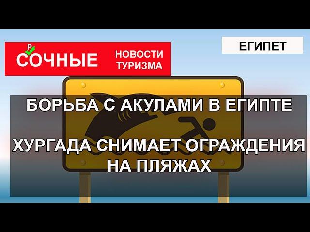 БОРЬБА С АКУЛАМИ В ЕГИПТЕ| Хургада снимает защитные сети от акул. Что происходит?