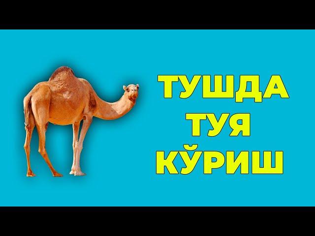 Туш табири - Тушда Туя куриш