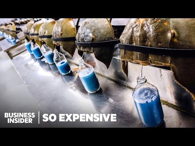 26 Of The Most Expensive Liquids In The World | Business Insider Marathon