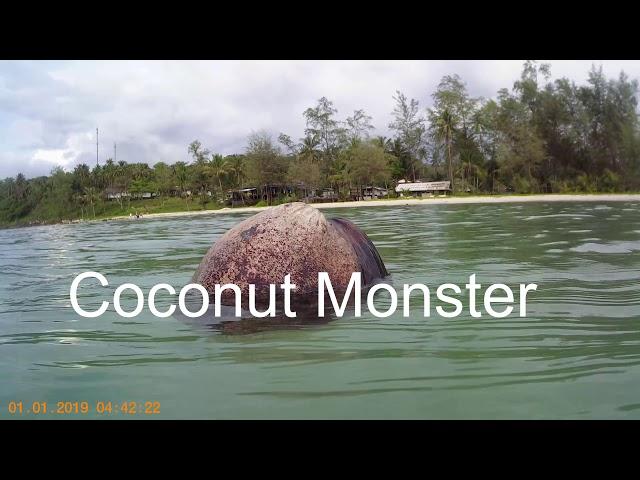 Scary Moments, Coconut Monster #chefstravels