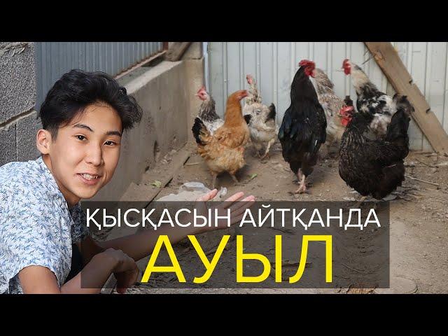 Қысқасын айтқанда, Ауыл