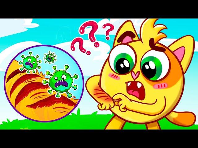 Why Do We Have Scabs Song | Educational Kids Songs  And Nursery Rhymes by Baby Zoo