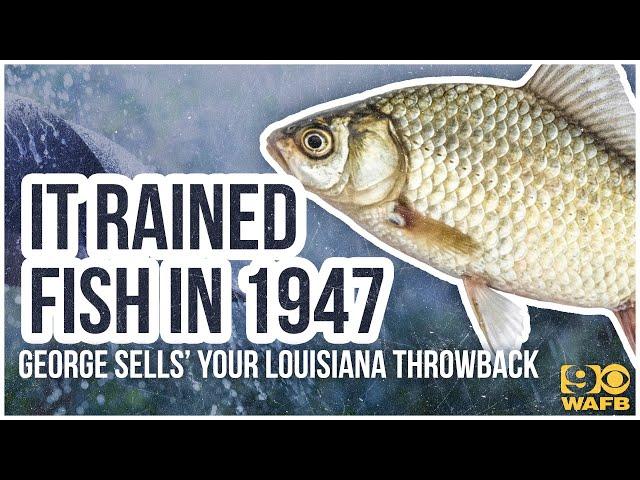 Raining fish in 1947?!