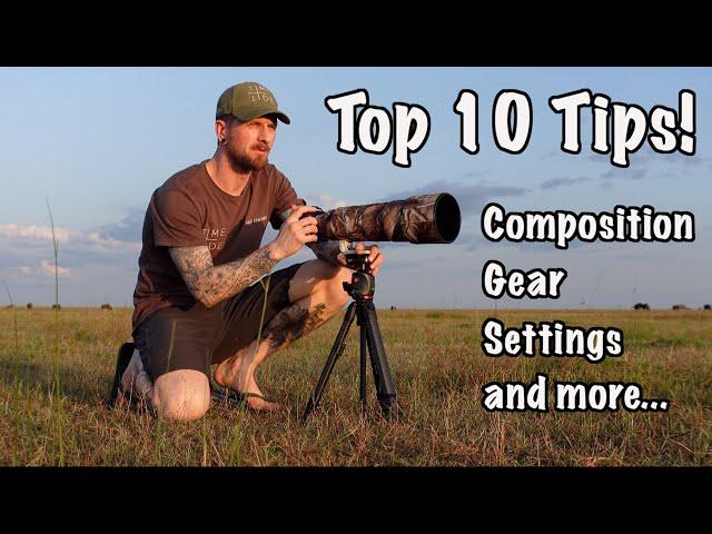 My Top 10 Tips for a Photographic Safari