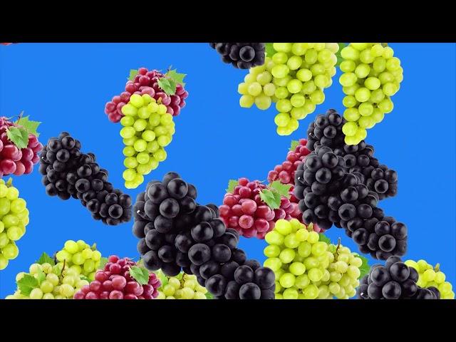 falling grapes green screen/  Fruit  ANIMATION green screen /Grapes RAIN green screen