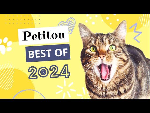 Best Of Petitou 2024