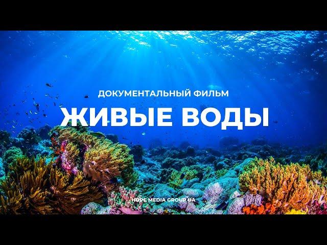 Живые воды. Разумный замысел в океанах Земли. Документальный фильм | Мифы эволюции