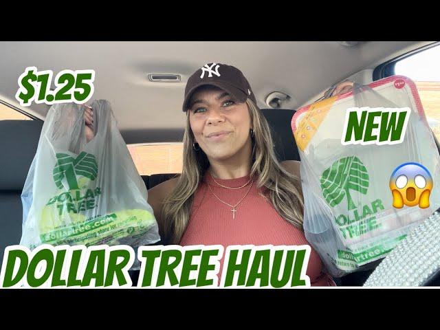 DOLLAR TREE HAUL | CAR HAUL | NEW ITEMS