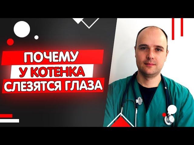 У котенка слезятся глаза почему и что делать