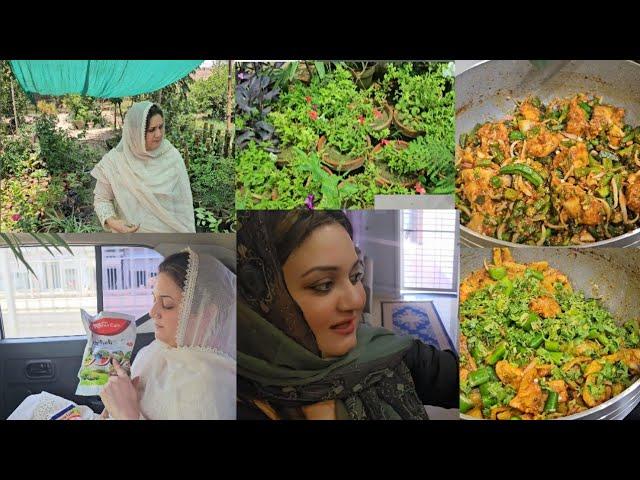 Jane se pehle ye kam kr k jati hon || Plants se bht positive energy ati hai || 2 salan aik sath