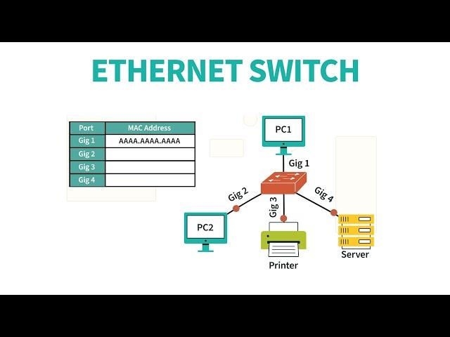 IT Support Tutorial - Ethernet Switch