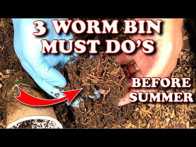 Worm Bin Changes To Make In The Summer | Vermicompost Worm Farm