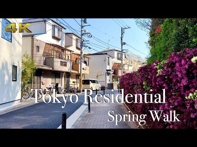 [4K] Tokyo Residential, Spring Walk. Peaceful & Quiet ️ #asmr