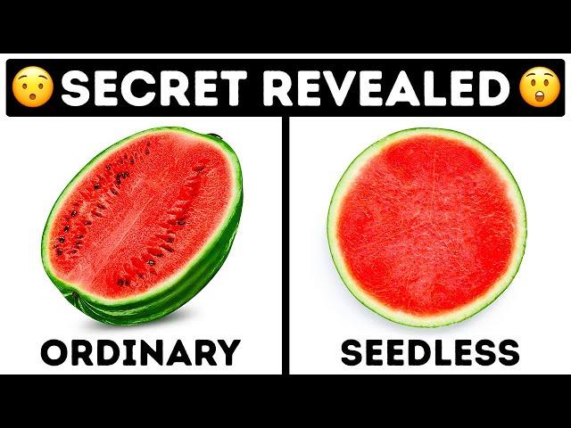 How Farmers Grow Seedless Fruits If There Are NO Seeds