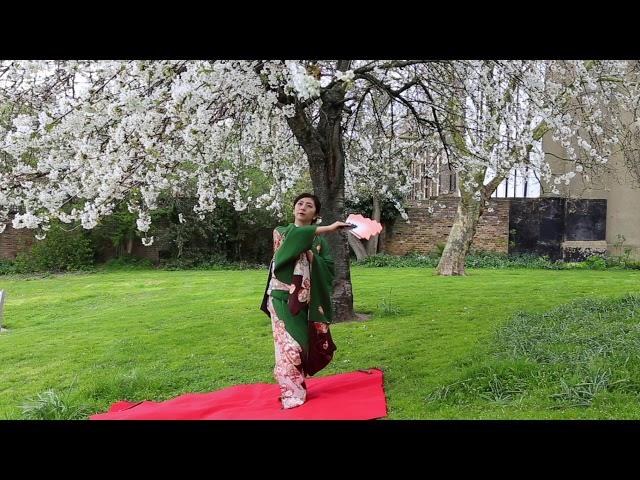 sakura sakura Nihon buyo Japanese fan dance