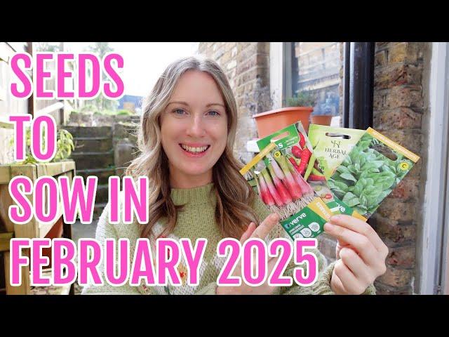 SEEDS TO SOW IN FEBRUARY FOR YOUR ALLOTMENT GARDEN