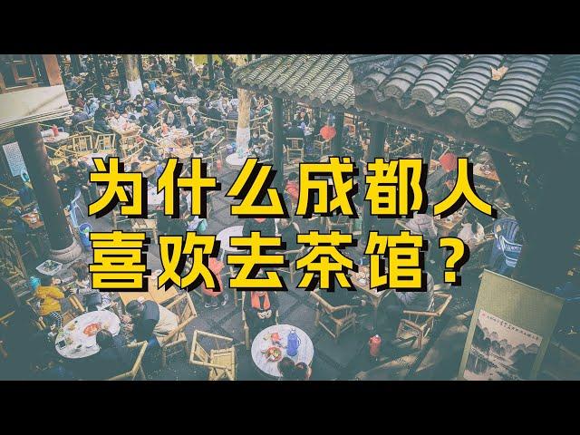 遍布全城的茶馆，是成都最重要的公共空间，为啥成都人离不开它？