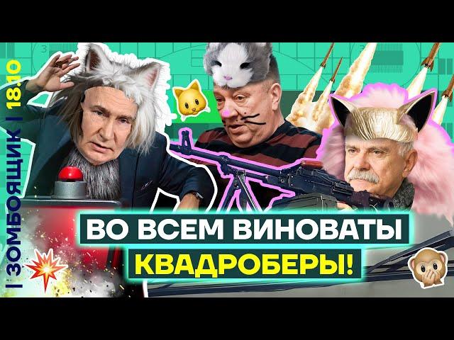  ЗОМБОЯЩИК | Причина неудач СВО — ЭТО КВАДРОБЕРЫ! | Звери против людей, одевающихся в зверей