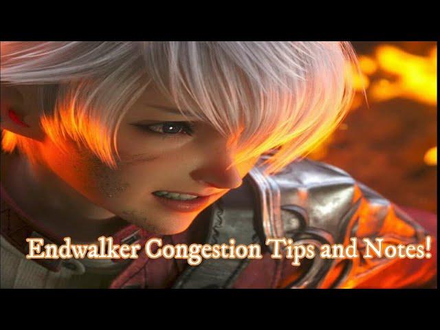 FFXIV Endwalker Congestion Notes and Tips