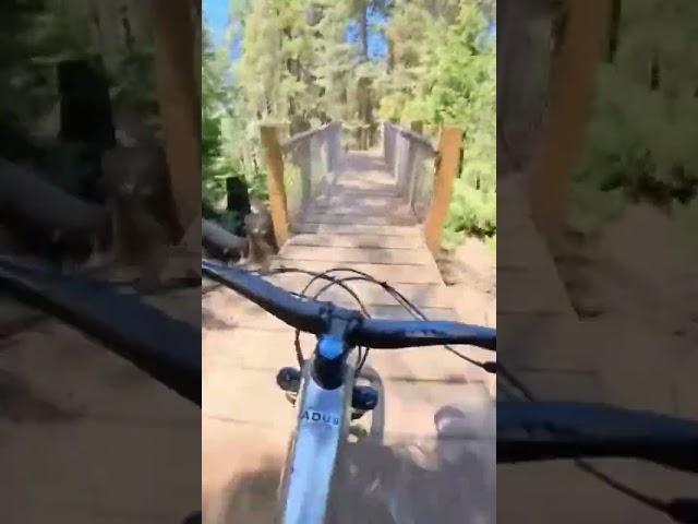 Arrow trail corkscrew, 55 and jump.  #mountainbiking #skyparkbikepark #polebikes