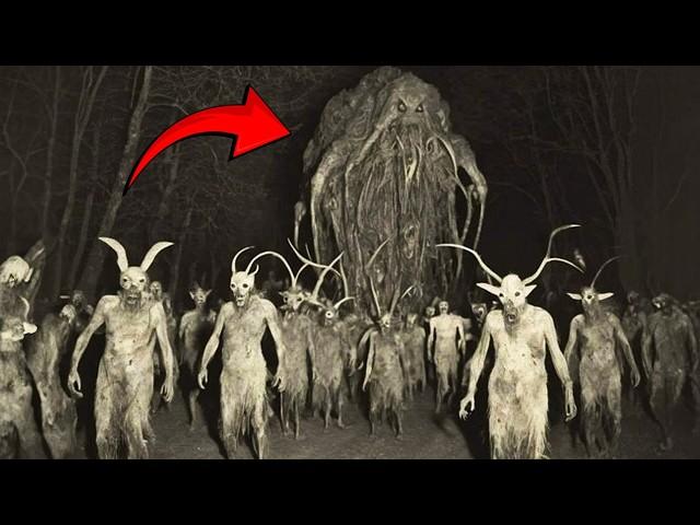 These Creatures Appeared Out Of Nowhere, And Shocked Everyone!