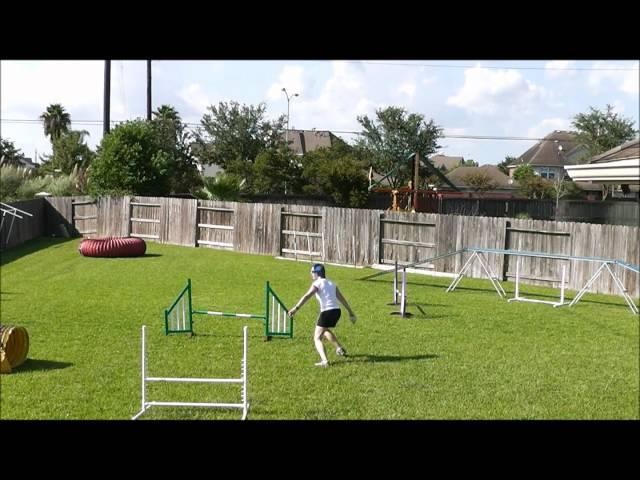 Dog Agility - Front Cross