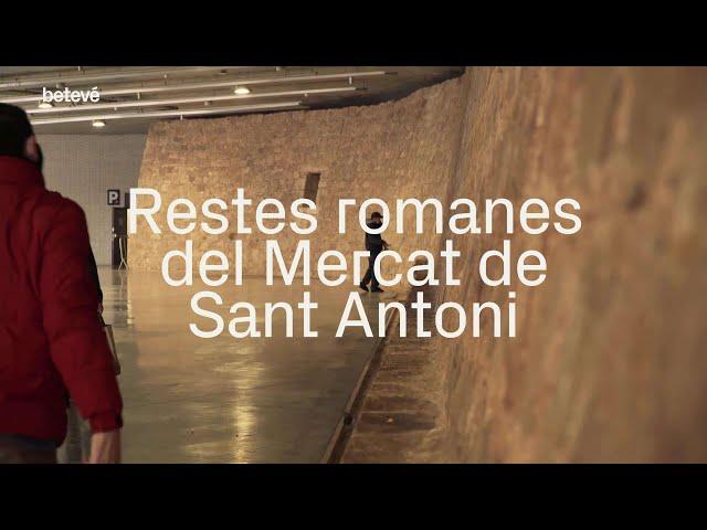 Les restes romanes del Mercat de Sant Antoni | betevé