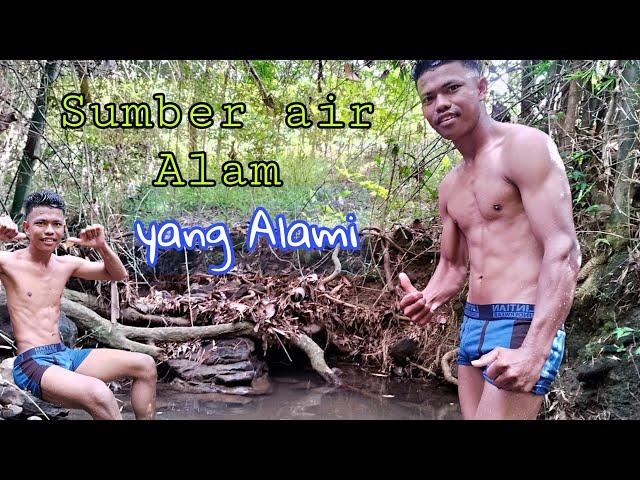 Mandi Di Sungai AIR Jernih  Alami Par 1#mandi #sungai #sumberair