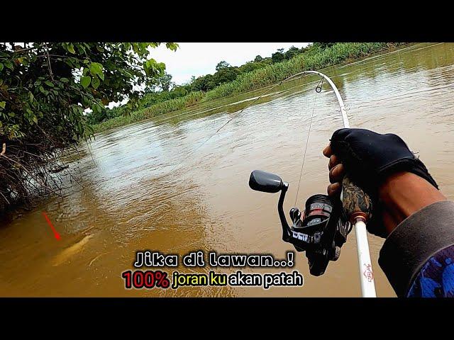 SANGAT KEJAM!!! Berkali² Jantungan Saat Umpan Mancing ku Di Sambar Ikan Ganas