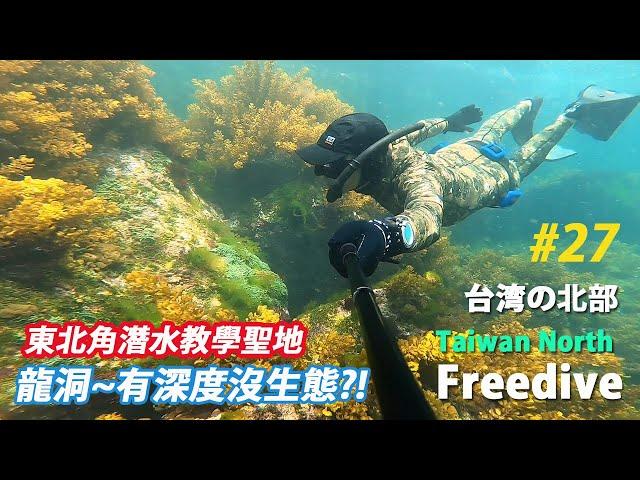 Freediving | 東北角潛水教學聖地"龍洞"有深度沒生態? | 和美國小 | 龍洞 | 傑哥帶你玩 Jerry Go Play | 自由潛水地圖 4k