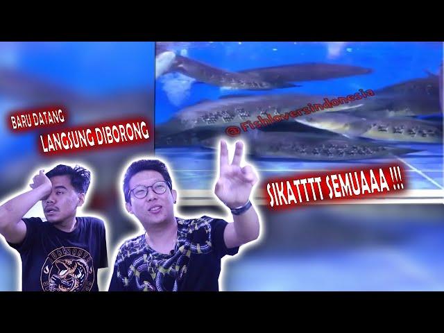 BORONG SEMUA MARU FULL BUNGA MILIK BANG FISH!!