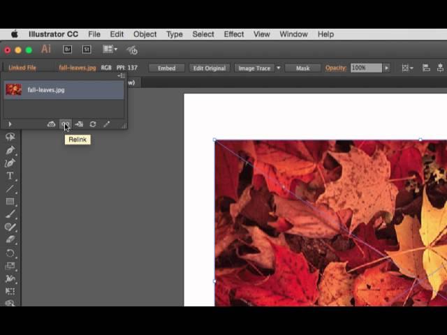 Illustrator: Placing and Embedding Images