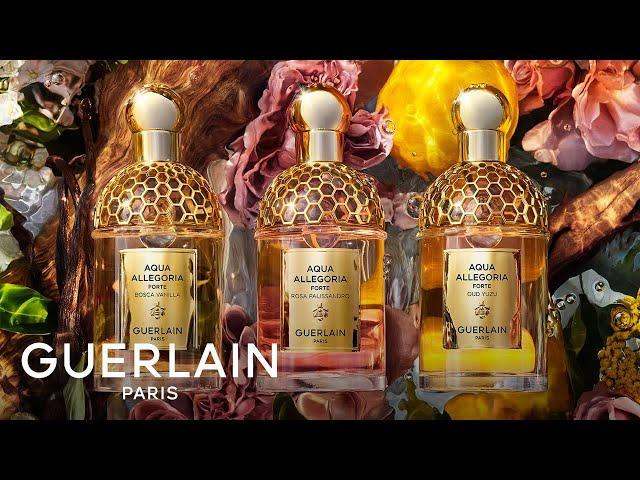 Aqua Allegoria Forte: The New Trio of Woody Fragrances | GUERLAIN