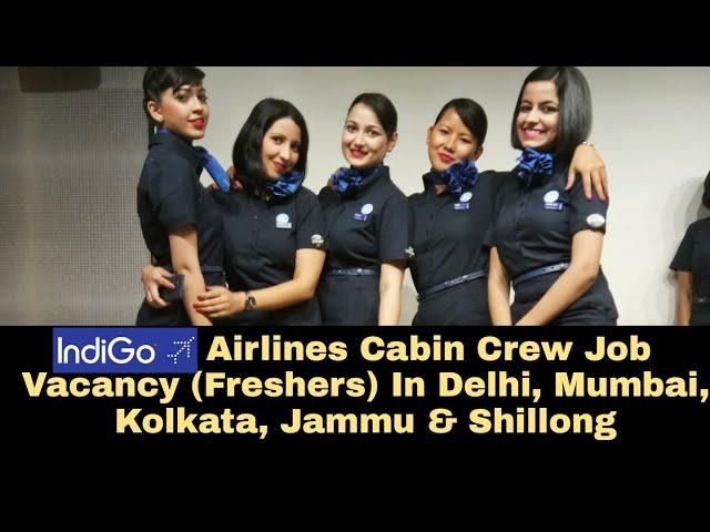 Indigo Airlines Cabin Crew Job Vacancy 2021 | Takeoff With Samreen