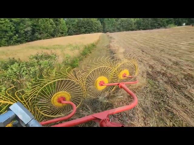 New Hay Rake , 3Pt Hitch Wheel Rake