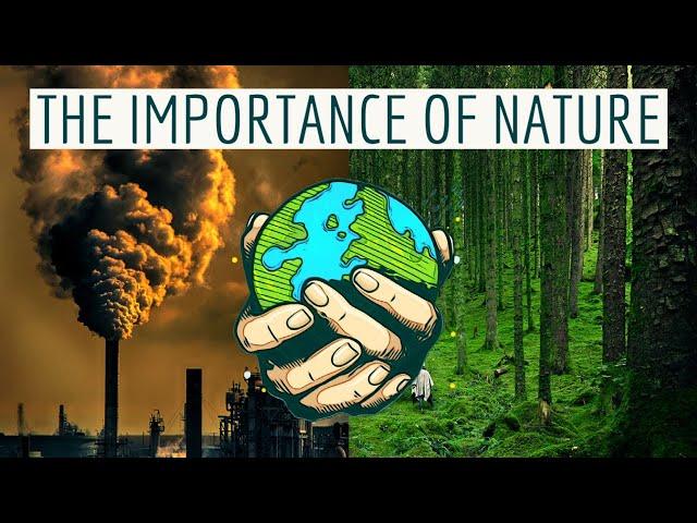 The Importance of Nature in Our Life