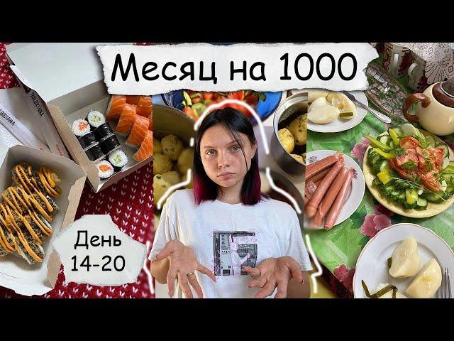 Месяц на 1000₽. День 14 - 20. Не смогла прожить на тысячу в России 2024. Экономные рецепты.