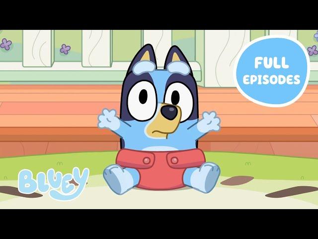 Heeler Family Time   | Full Episodes | Baby Race, Asparagus, and More! | Bluey 