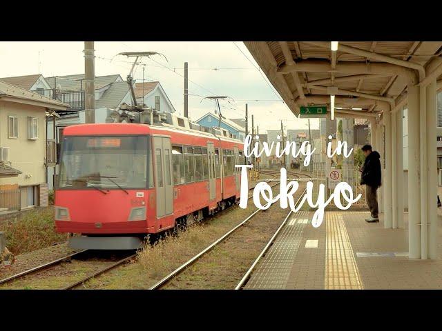 Tokyo Vlog / Travel Like A Local, Cat Bookstore, Must Visit Old Tea Cafe, Home Cooking, Travel