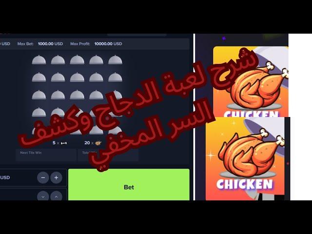 شرح لعبة الدجاج وكشف السر المخفي