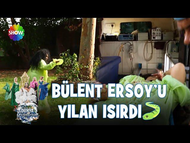 Bülent Ersoy'un yılan ile mücadelesi | Dünya Güzellerim (HD)