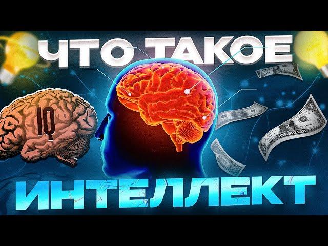 Гайд на интелект | Почему IQ тест не работает