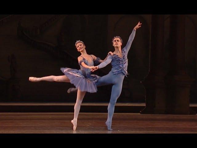The Sleeping Beauty - Bluebird and Princess Florine pas de deux (The Royal Ballet)