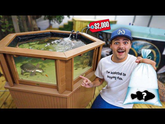 Buying FISH for My NEW 200G POND!! (full build)