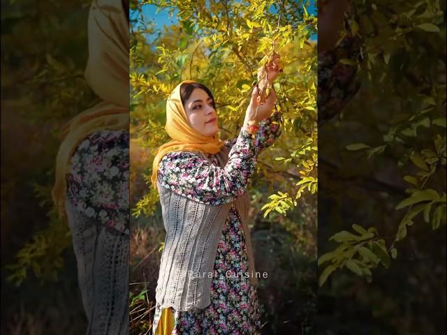 Anarbij | Preparing Local Stew with Wild Sour Pomegranates