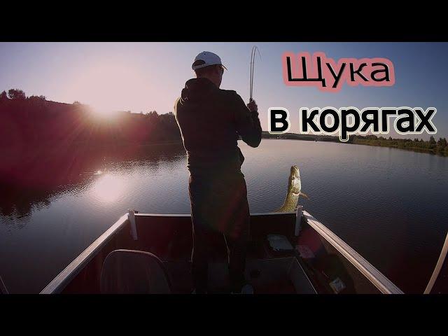 КАК ЛОВИТЬ ЩУКУ в коряжнике? Ловим щуку ДЖИГОМ в ЛЮТЫХ ЗАВАЛАХ.