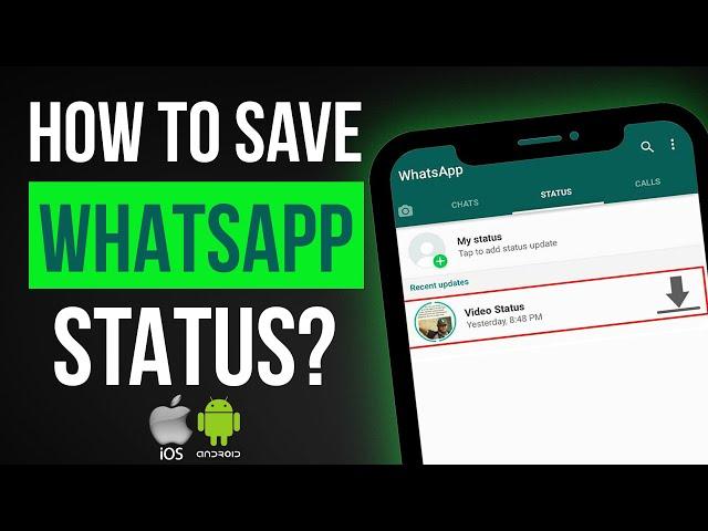 How to Save A Status from WhatsApp (WORKS IN 2024) | Download WhatsApp Status on iPhone and Android