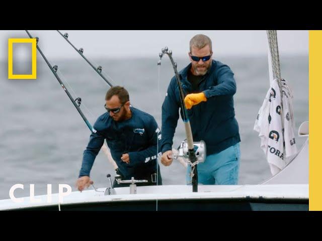 Captain Cook Snags a Big Tuna | Wicked Tuna | National Geographic